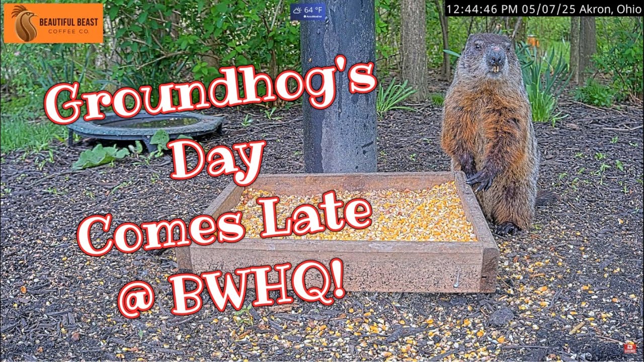 Groundhog's Day Comes Late @BWHQ - 5.7.25