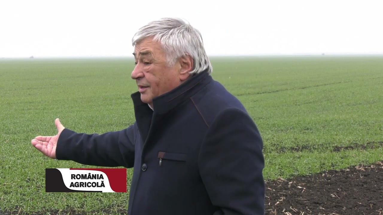 Producții sigure cu hrană și tratamente preventive