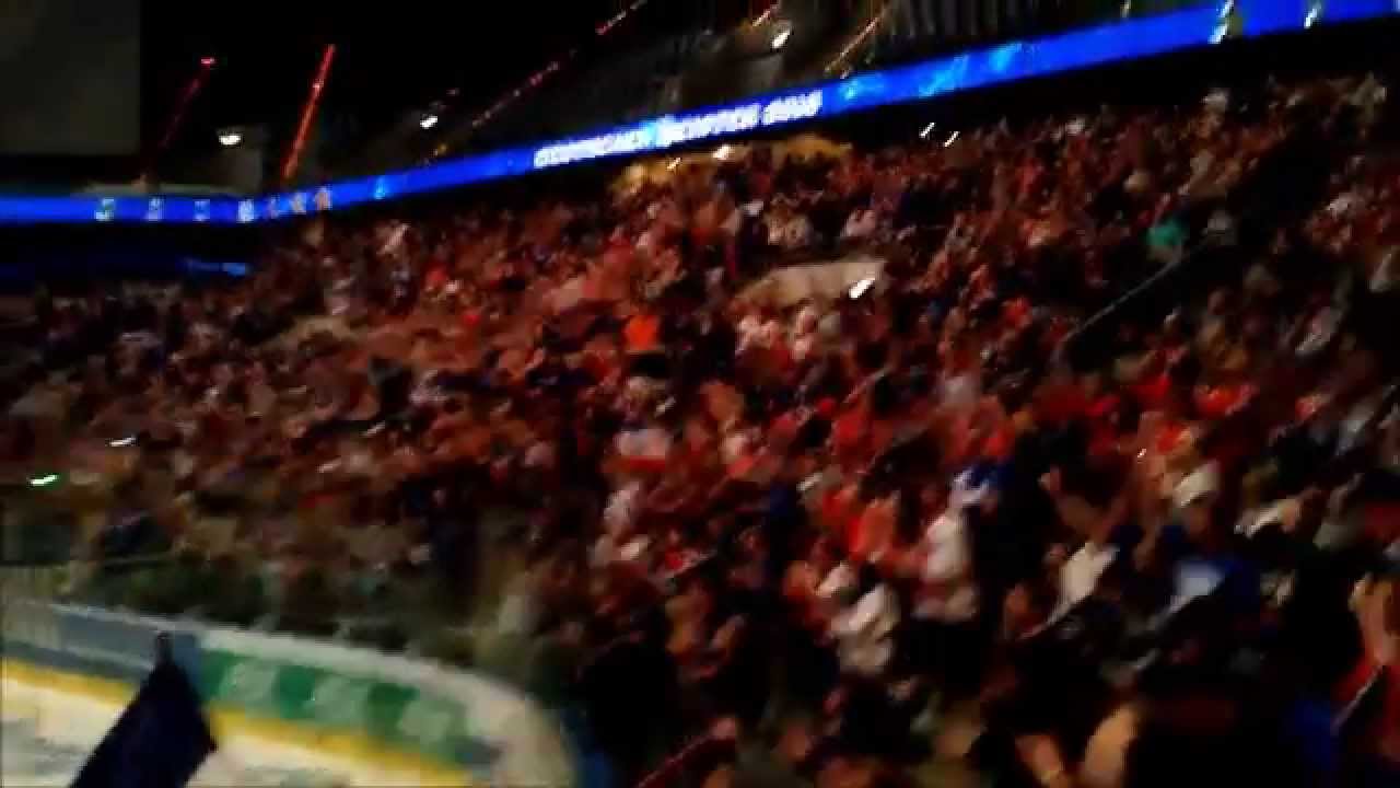 Adler Mannheim Deutscher Meister 2015 - Meisterempfang mitten in der Nacht