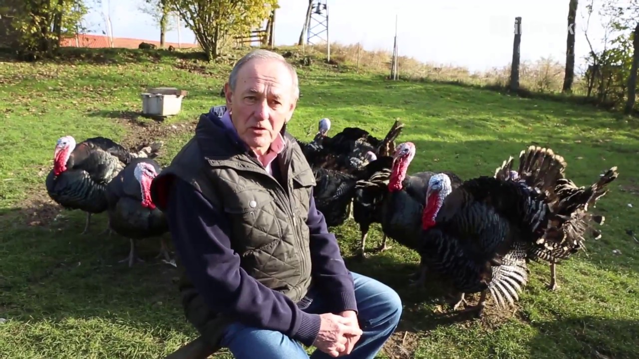 Alfred Hofmann h&auml;lt Kellyputen in H&ouml;fles