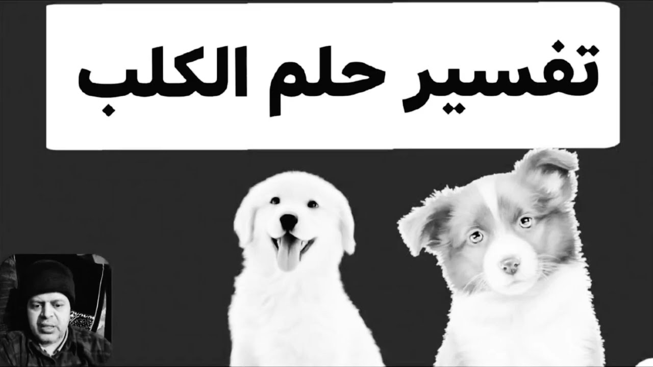 شراء الكلب الاسود للمراه المتزوجه في المنام 