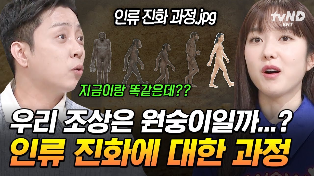 [#벌거벗은세계사] 걷다 보니 대륙까지 진출한 인류💨 보법부터 달랐던 인류의 진화 과정 정리💯