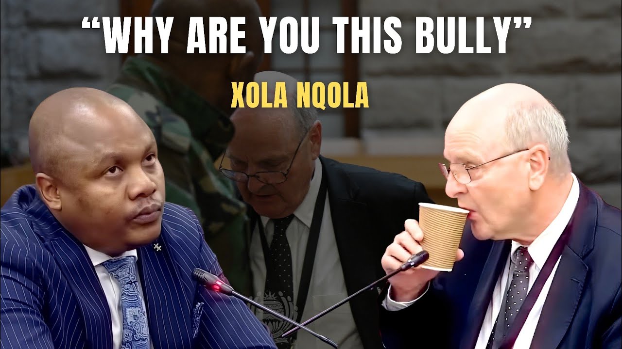 “Why are you this bully? why are you this bully?” Ad Hoc Committee member Xola Nqola