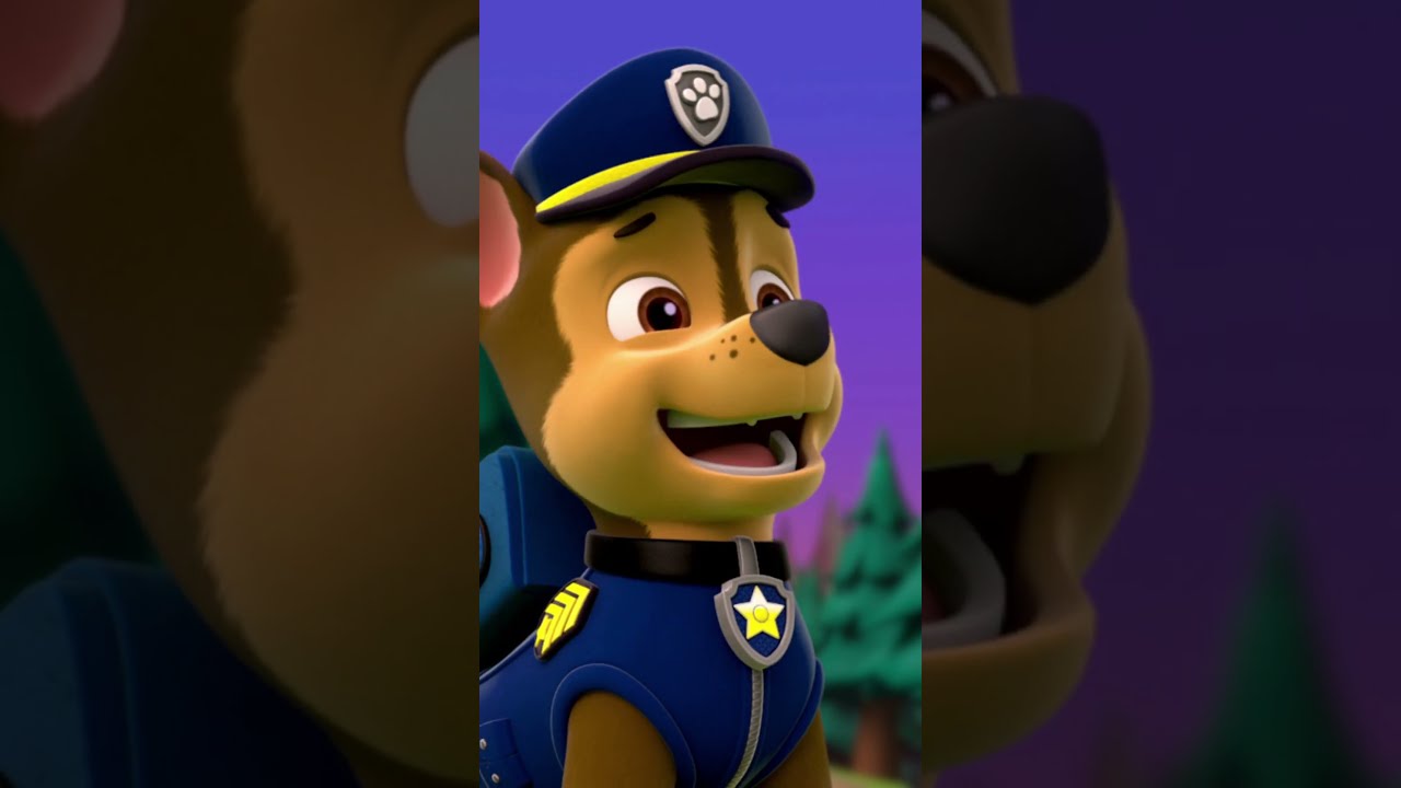 Chase worries about Skye after rescuing Chickaletta - Paw patrol