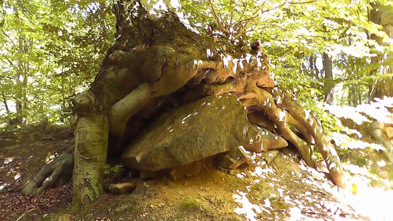 Durch die Natur und Geschichte von Osek