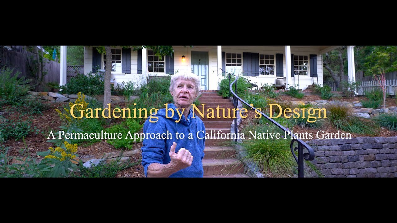Gardening By Nature's Design: A Permaculture Approach to a California Native Plants Garden