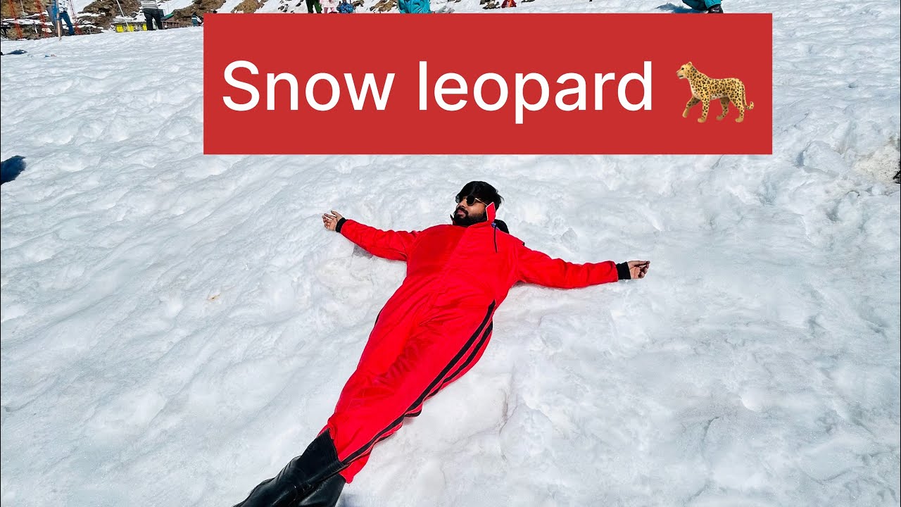 Manali me snow leopard dikha😱😱