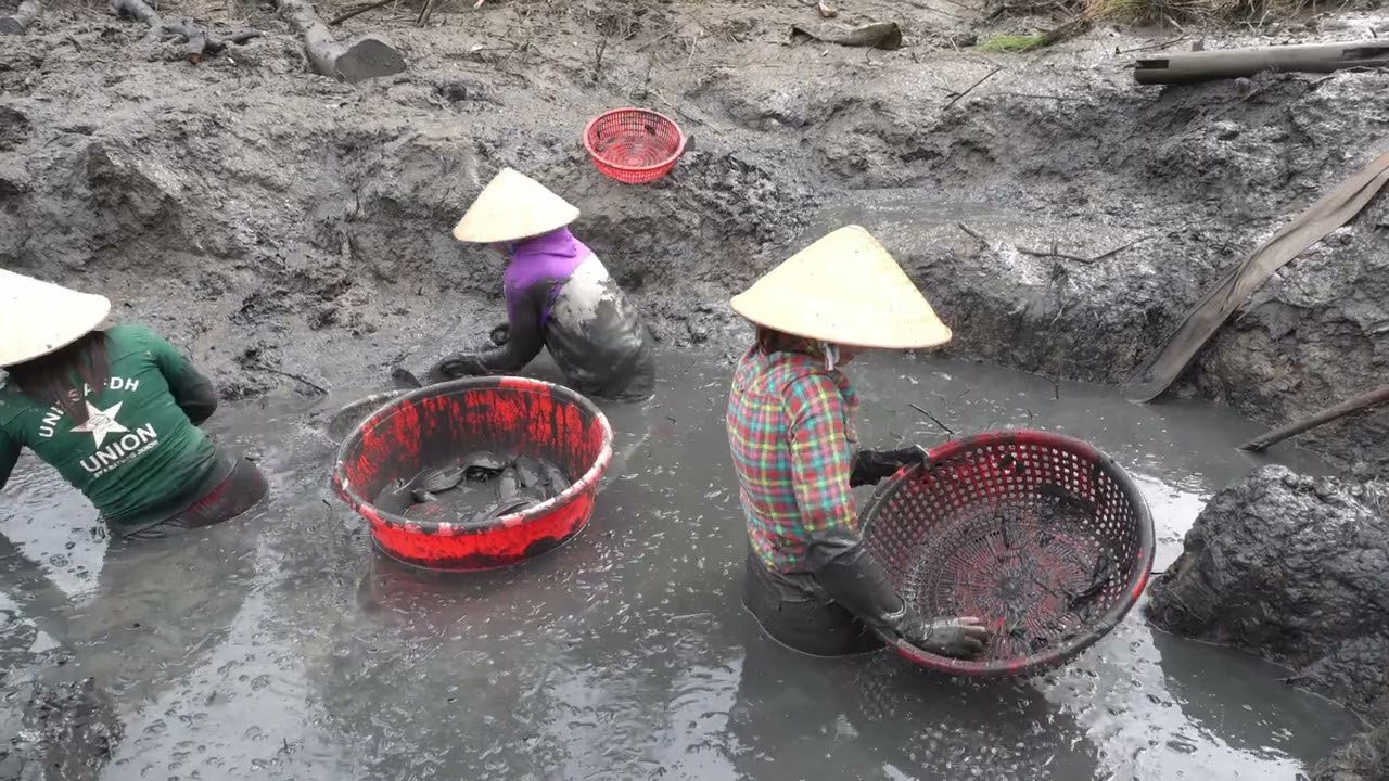 219 / Tát Hầm Lâu Năm Bắt toàn cá khủng