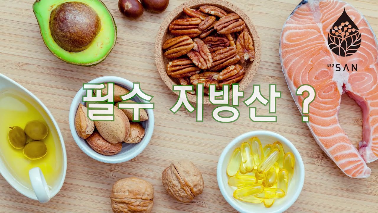 필수지방산이란