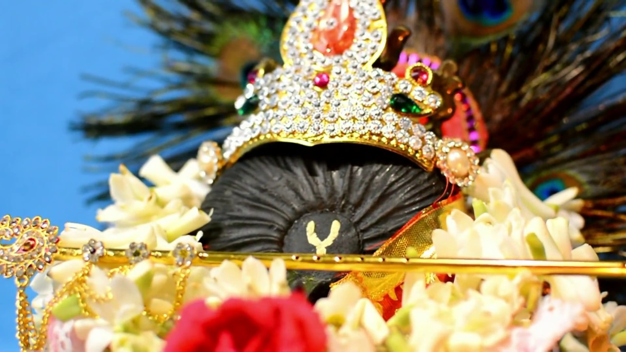 Best Shaligram Shilas