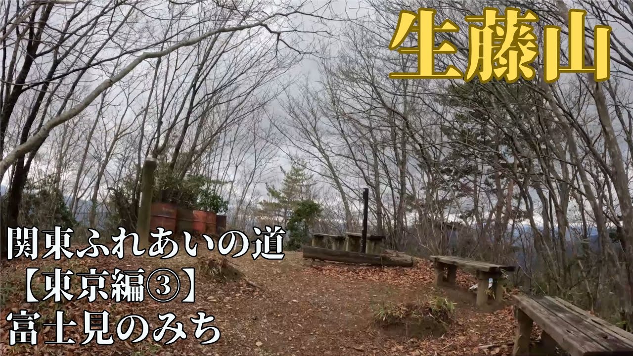 生藤山：起伏の多い長い道【関東ふれあいの道攻略 東京③】富士見のみち