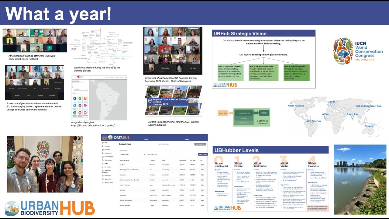 UBHub Annual General Meeting Jan 15, 2026