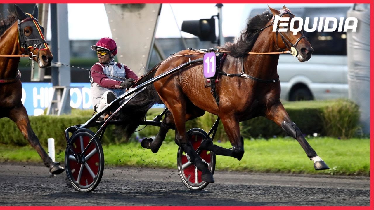 KOCTEL DU DAIN - SWC 4 ANS Q2 - PRIX PIERRE PLAZEN GR.II - VINCENNES - 19.11.23