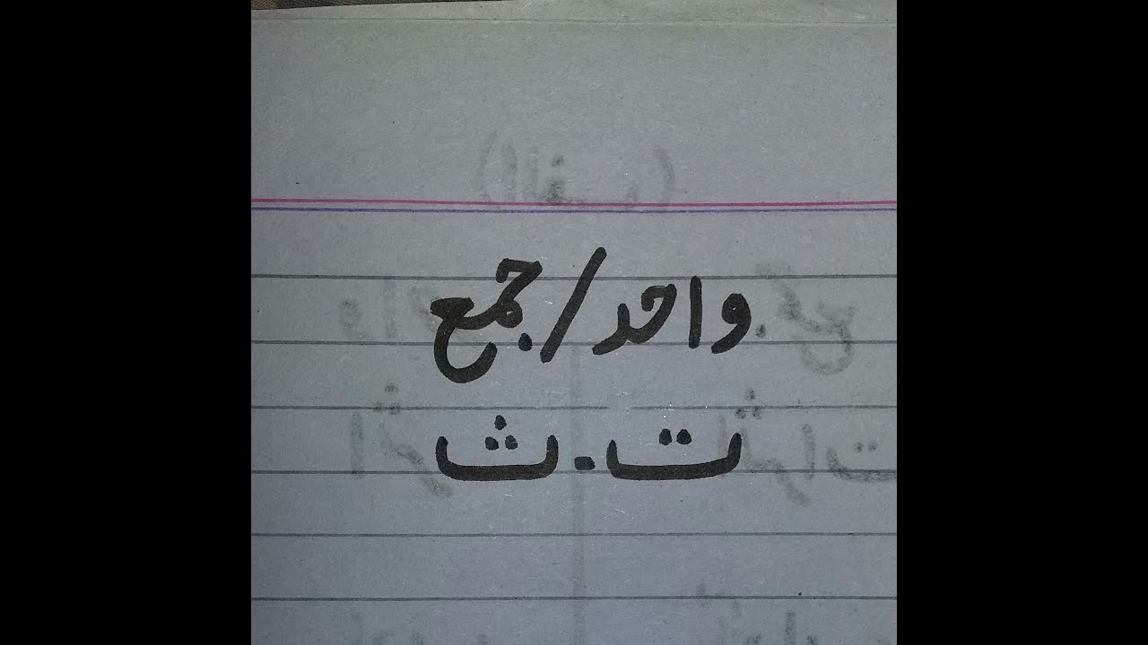 Teacher's Guide | Tay Or Say Se Wahid Jama | Urdu Grammar | Singular Plural | Te | Se