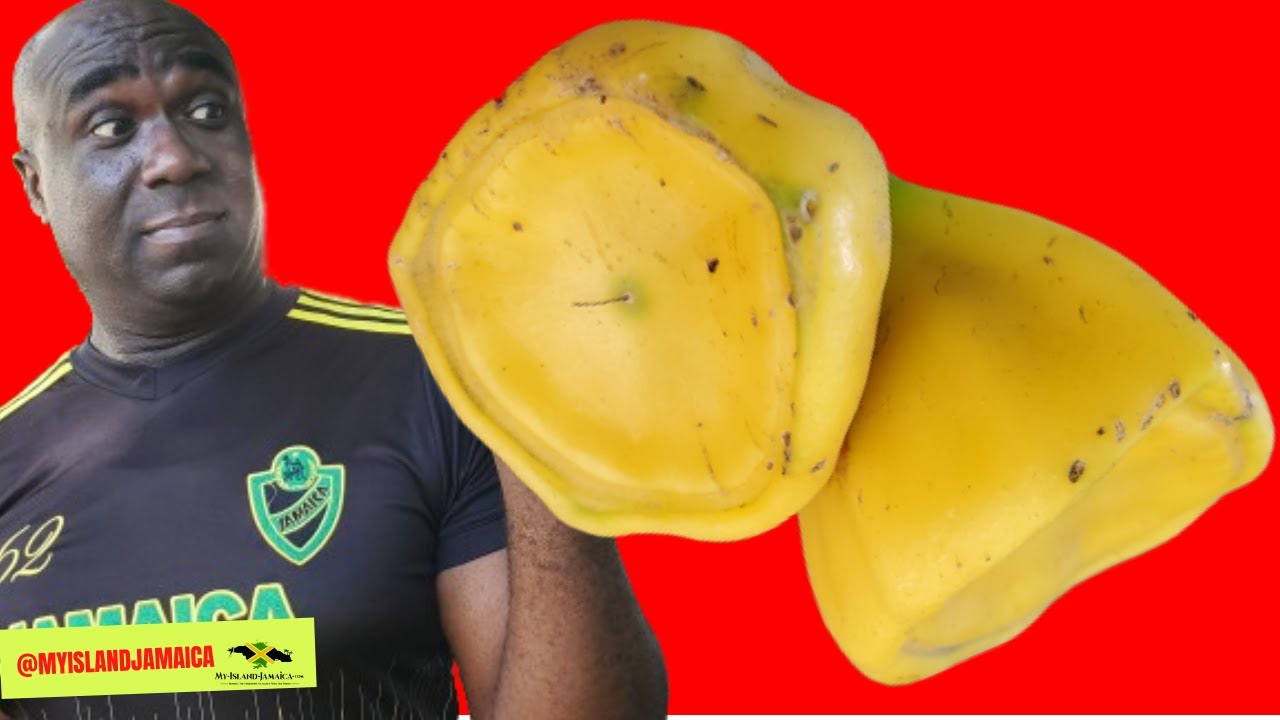 A WEIRD, UNUSUAL (but Nutrient-Rich) Fruit Is Discovered in Jamaica 😲 #cactusrose