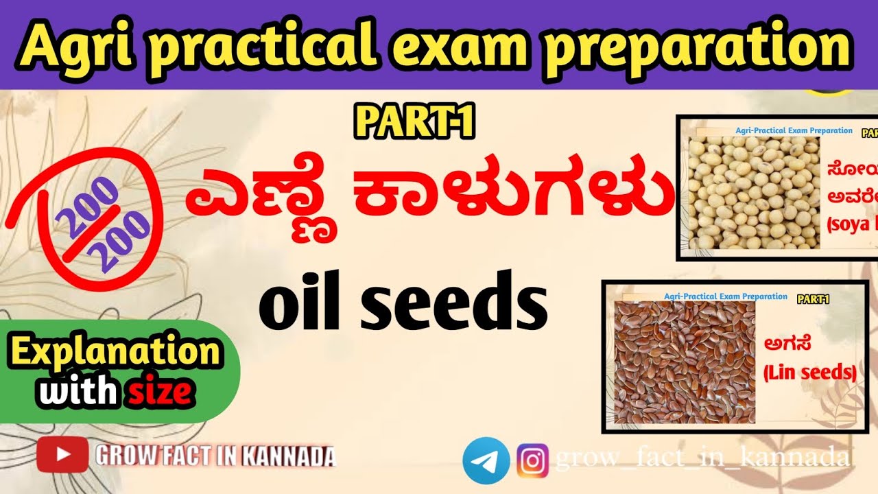 Agri KCET practical exam Preparation | Part-1 oil seeds | ಎಣ್ಣೆ ಕಾಳುಗಳು | PRACTICAL EXAM