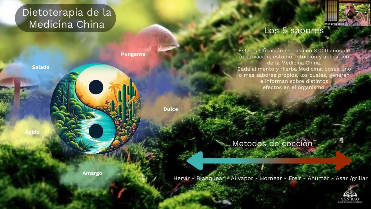 MASTERCLASS | Dietoterapia en Medicina China: Los 5 Sabores
