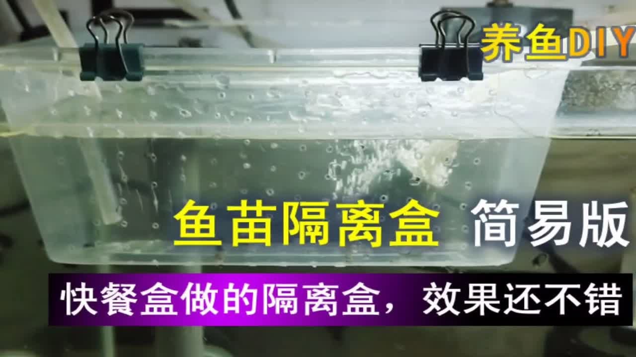 简易鱼苗隔离盒制作，家家都有这材料，很简单，不用再买盒子了
