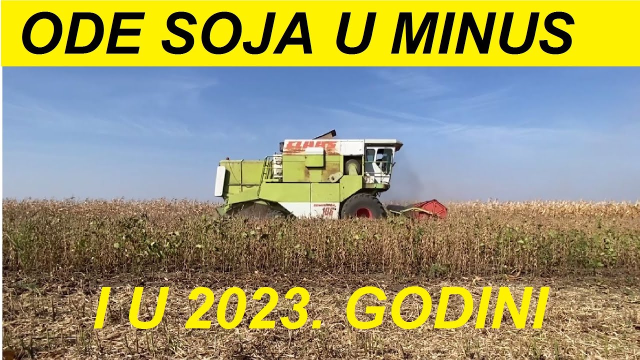 Žetva soje, u startu se videlo da neće valjati