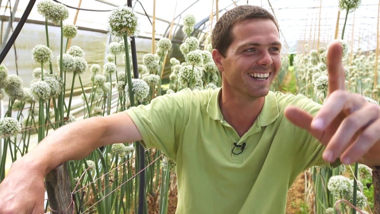 Le parcours métier de Lucien, producteur de graines bio
