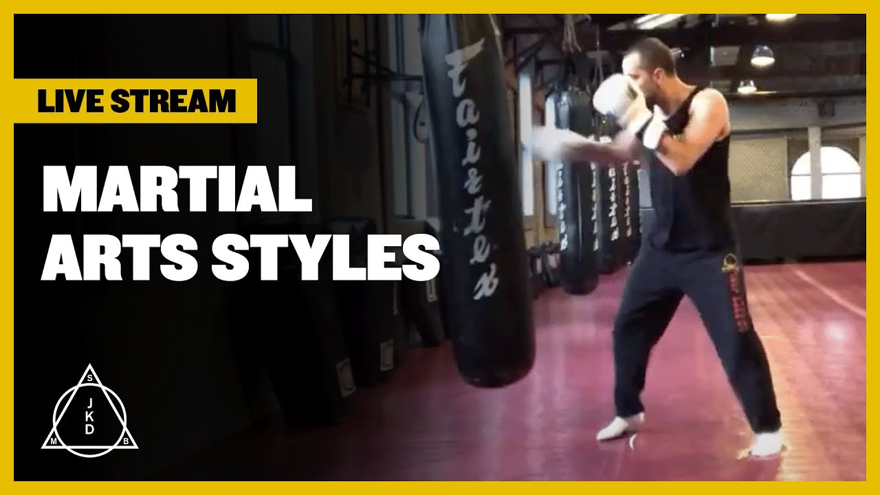 Martial Arts Styles| Pros and Cons| JKD, Muay Thai, Karate, Boxing, Wrestling, BJJ