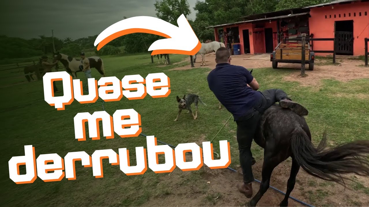 TENTEI SUBIR NO PÔNEI