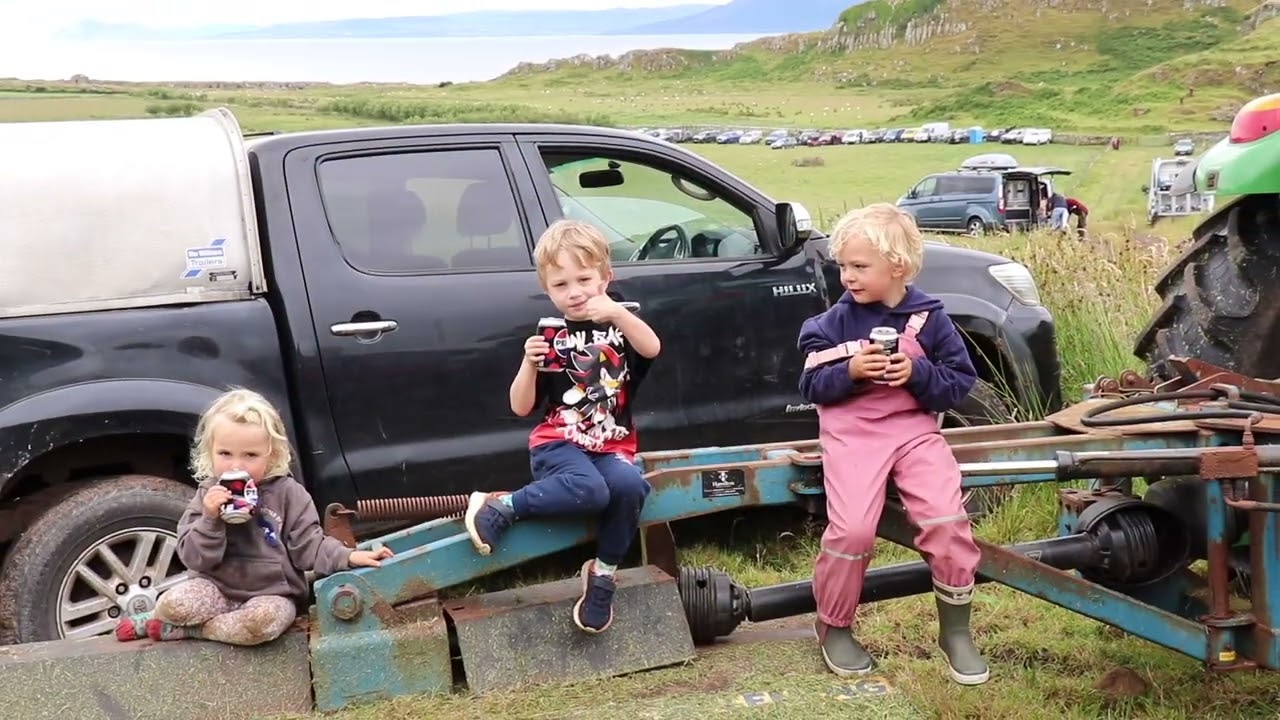 Trials of Bute 2024 Brace Sheepdog Trial Competition.