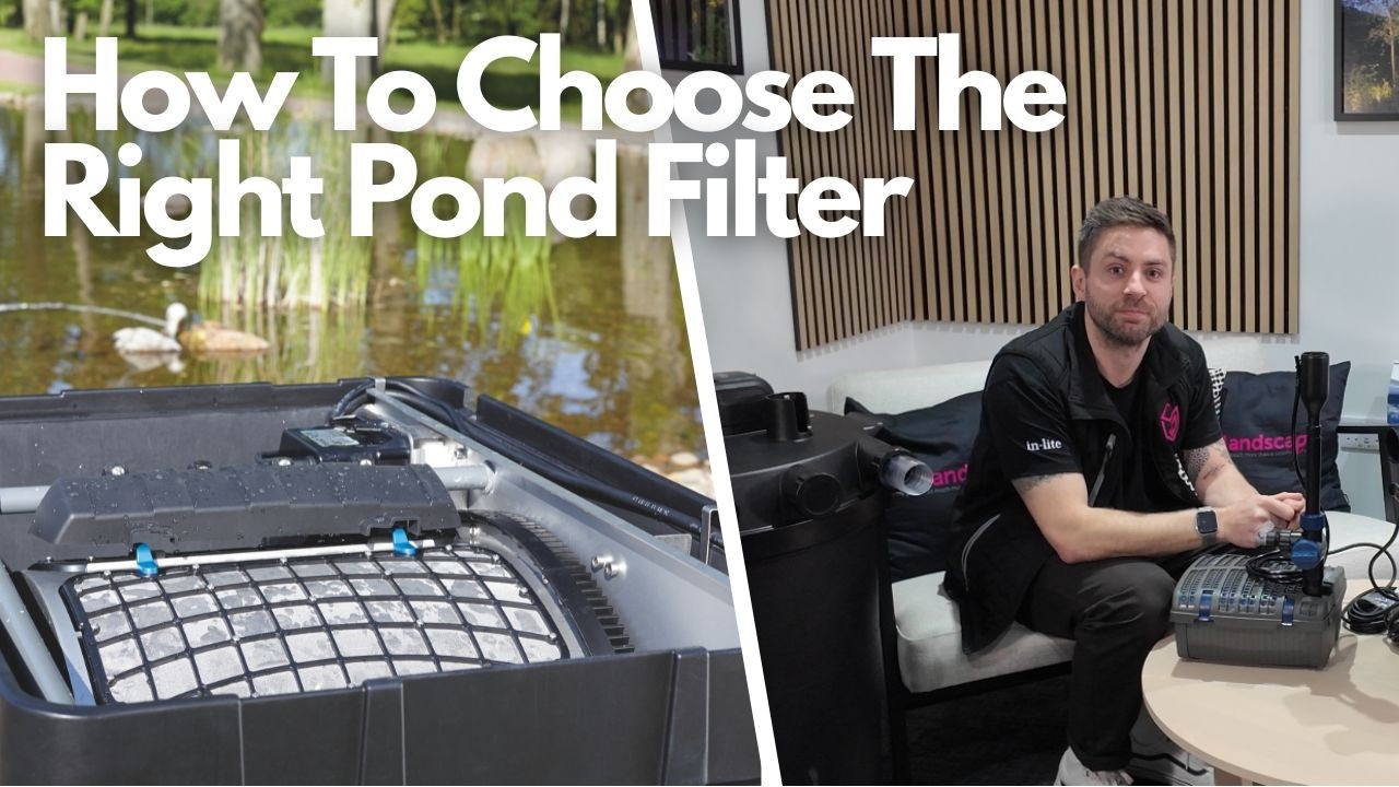 How To Choose The Right Oase Pond Filter