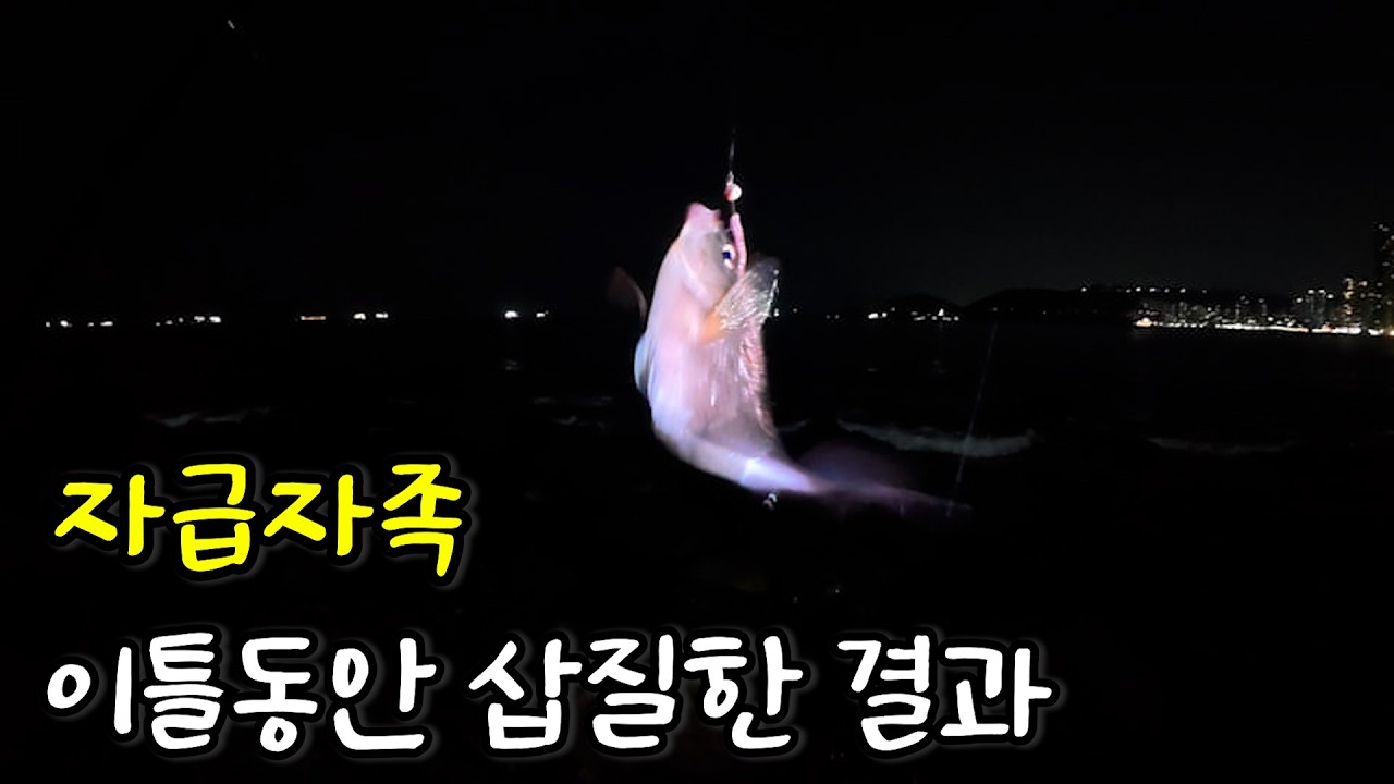 [리얼자급자족] 생선 싫어하는 낚시꾼이 남들 다 버리는 고기로 생선구이 만들어 먹기