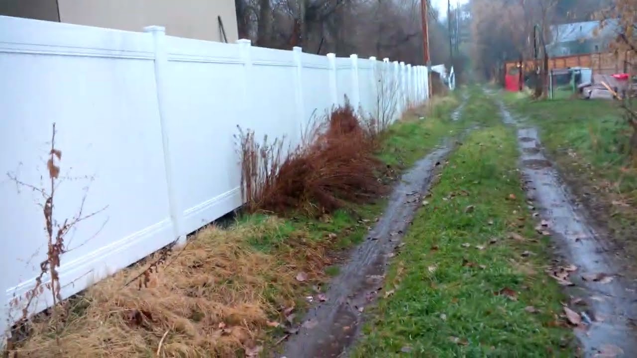 JAN 1 2026 - WALK IN RAIN AND FOG PART 1