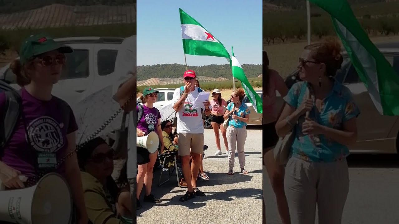 Concentración en el CIMI 