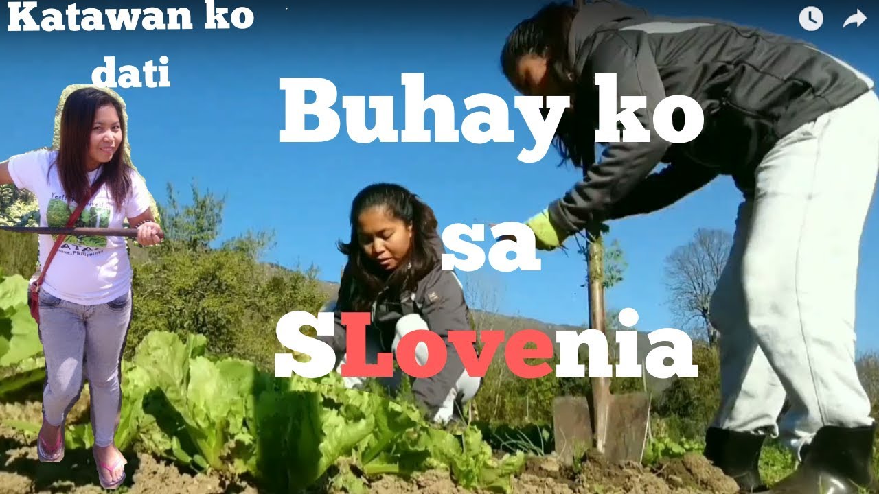 Filipina Life in Slovenia - EU: Nag hukay ng Carrots || Hindi na naman tuloy