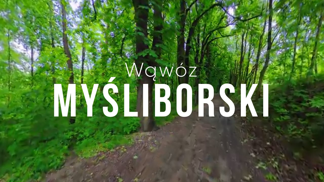 Wąwóz Myśliborski