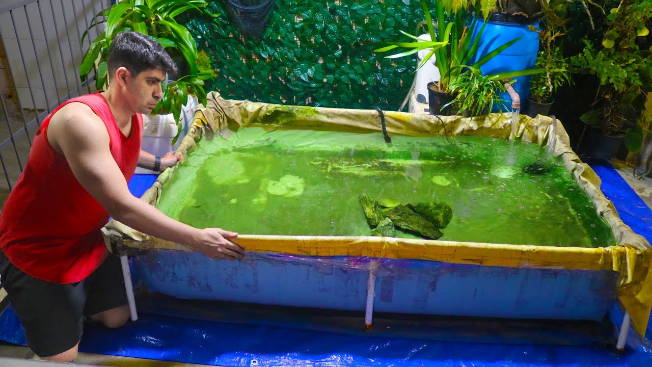 MONTEI UM INCRÍVEL LAGO PARA PEIXES COM UMA PISCINA DE 1000 LITROS!!