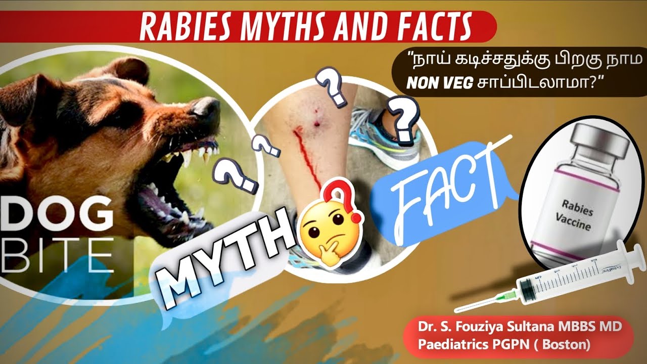 Rabies: Myths vs Facts |நாய் கடிச்சதுக்கு பிறகு நாம NON VEG சாப்பிடலாமா?| Dr. Fouziya MD Paediatrics
