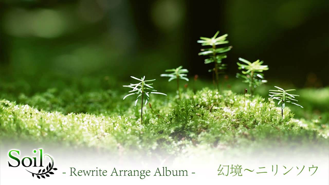 Soil: Rewrite Arrange Album - Genkyou ~ Nirinsou