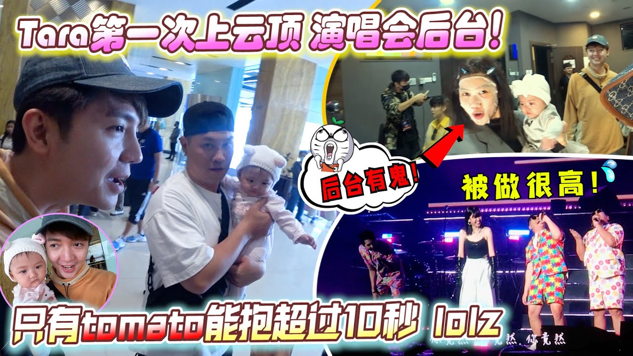 第一次帶Tara上雲頂蔡恩雨演唱會后台，只有tomato能抱超过10秒~