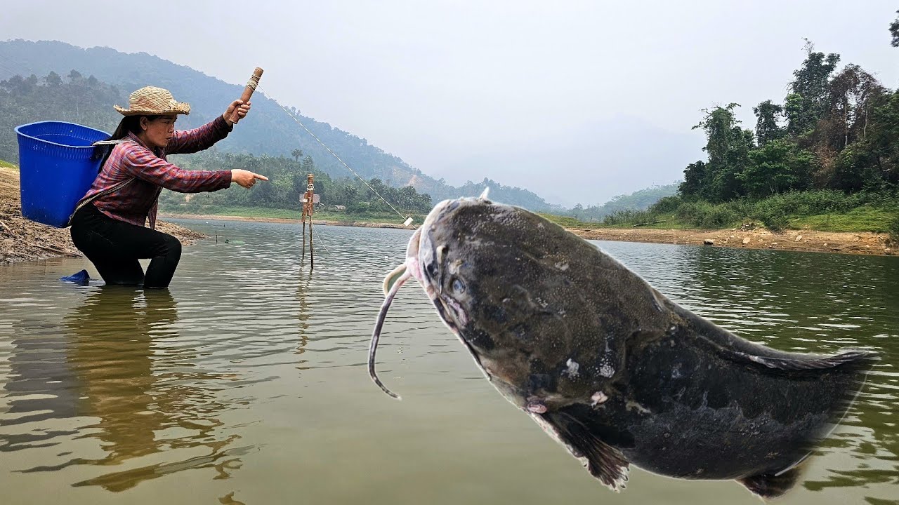 Traditional fishing techniques - A single mother risks her life catching giant fish in the river.