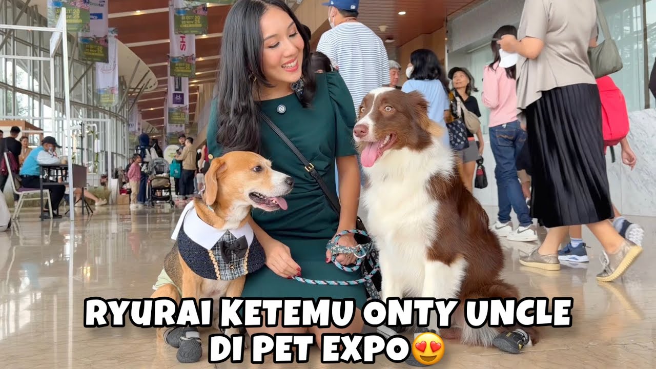 RYUKI RAIDEN KETEMU ONTY UNCLE DI PET EXPO‼️ HAPPY BANGET MAIN & MANJA😍🥰