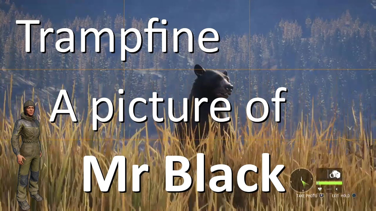 theHunter Call of the Wild - Trampfine A picture of Mr Black