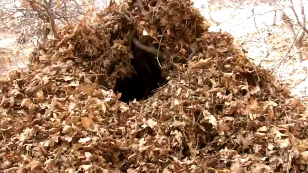 Bushcraft Skill To Make A Debris Shelter