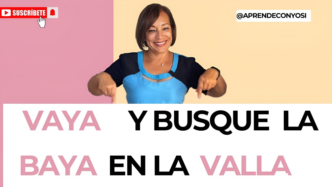 Diferencia entre VAYA-VALLA y BAYA. No te vayas sin saberlo. 