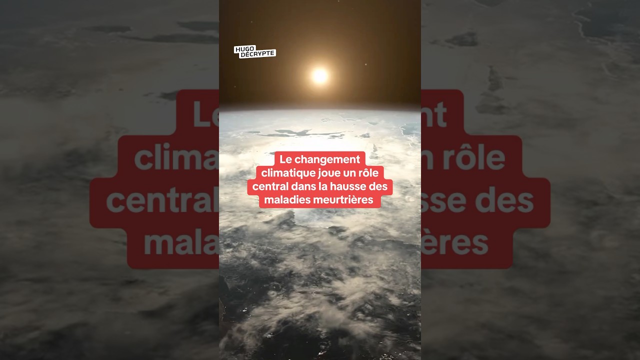 Comment le changement climatique aggrave les maladies meurtri&egrave;res, avec @ONEfrancais