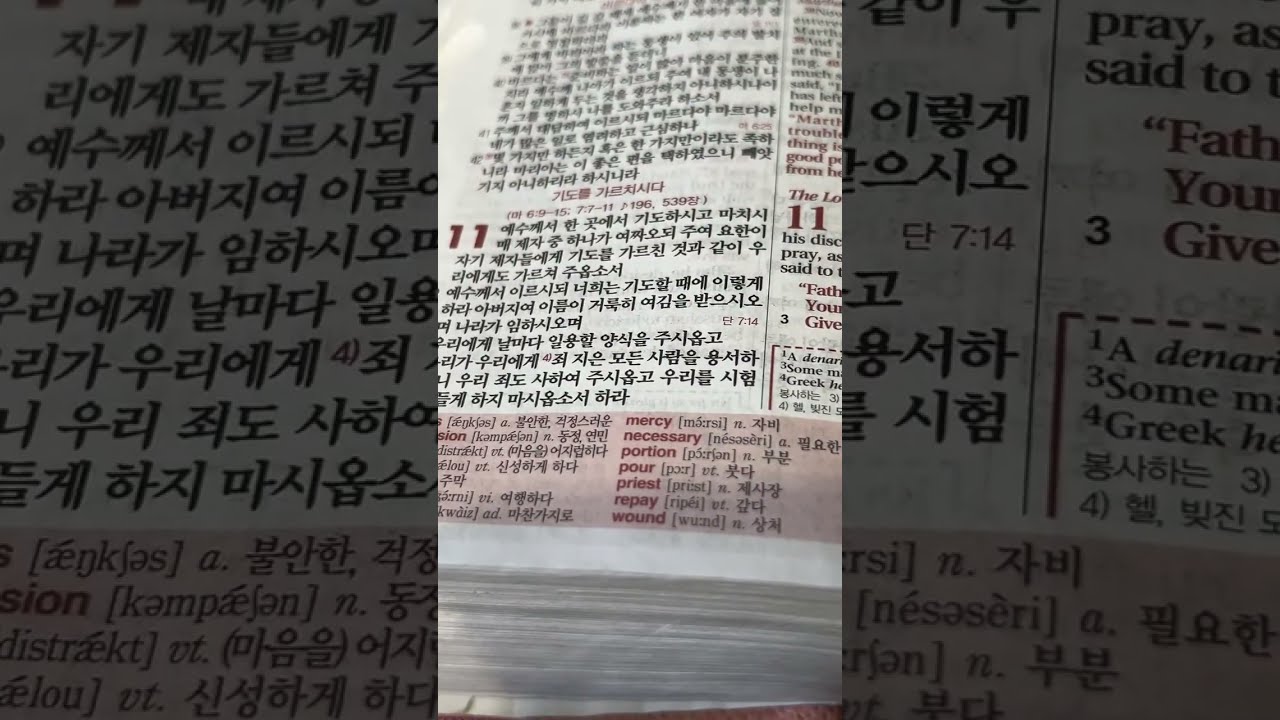 🌱asmr Random 랜덤 Bible Verse 성경구절 Reading 읽기 in Korean 한국어 & English 영어