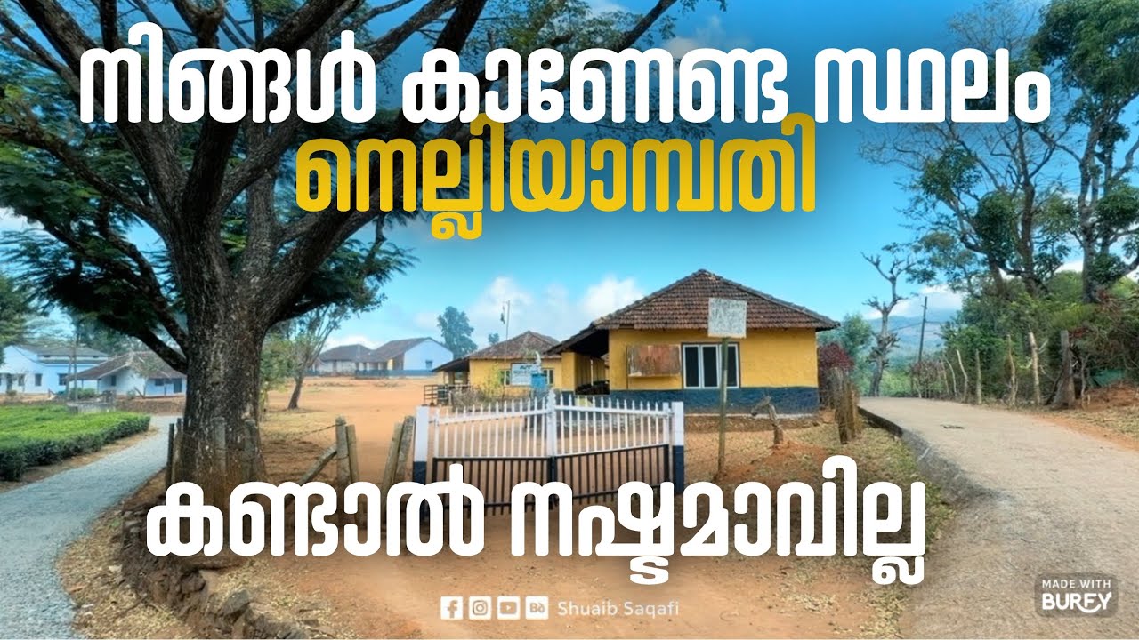 നെല്ലിയാമ്പതി എന്ന നാട് കണ്ടുനോക്കൂ | ഇവിടെയൊക്കെ അല്ലേ നമ്മൾ പോകേണ്ടത് #nelliyampathi #history 