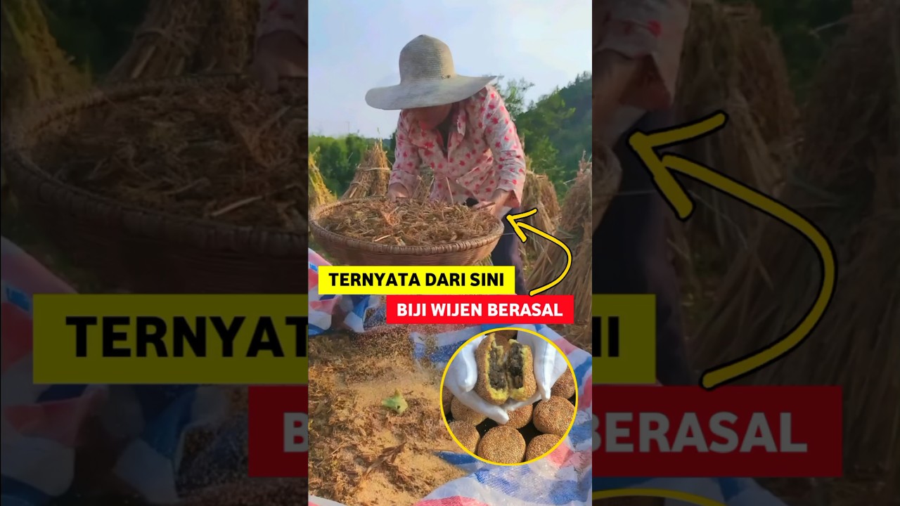 Dari Mana Biji Wijen Berasal?