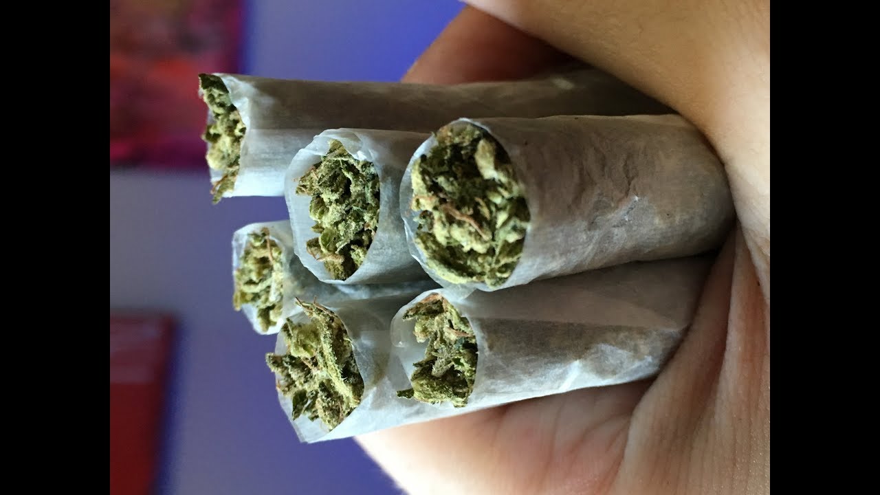 1/2 OUNCE OF WEED getting rolled into FAT JOINTS !!!