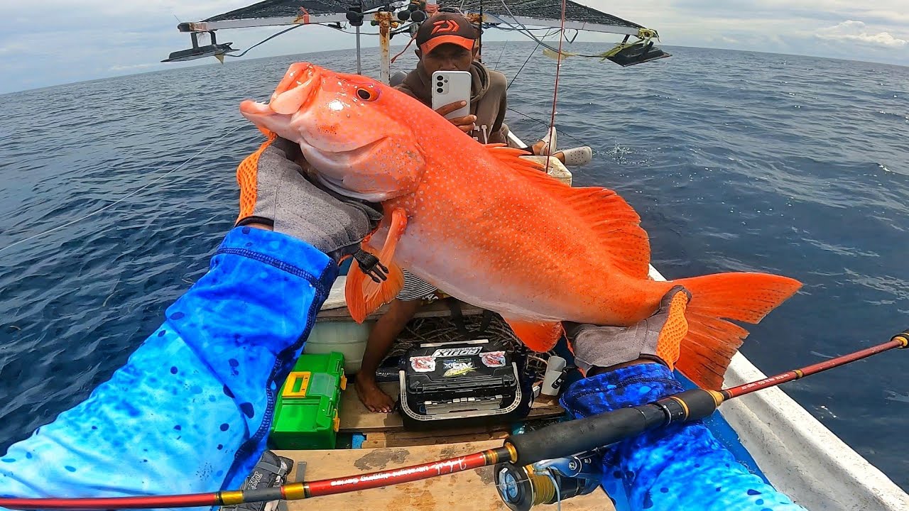 JACKPOT KERAPU SUNU❗️LIGHT JIGGING, DASARAN , SLOW JIGGING STRIKE SEMUA