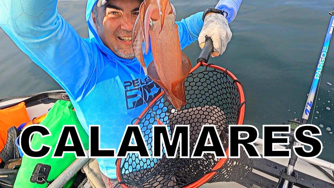 MIS PRIMEROS CALAMARES DESDE OZEAM 300 CONIL 1-10-2024
