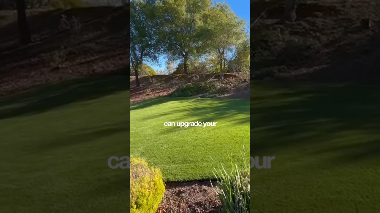 Think turf is out of your budget?